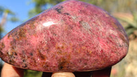 Polished Red Rhodonite Free Forms x 3 From Zimbabwe - Toprock Gemstones and Minerals 