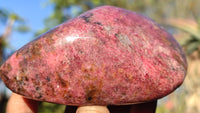 Polished Red Rhodonite Free Forms x 3 From Zimbabwe - Toprock Gemstones and Minerals 