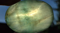 Polished Green Fluorite Galet-Palm Stones x 35 From Madagascar