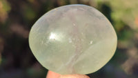 Polished Green Fluorite Galet-Palm Stones x 35 From Madagascar