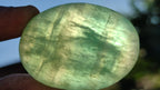 Polished Green Fluorite Galet-Palm Stones x 35 From Madagascar - Toprock Gemstones and Minerals 