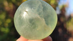 Polished Green Fluorite Galet-Palm Stones x 35 From Madagascar - Toprock Gemstones and Minerals 