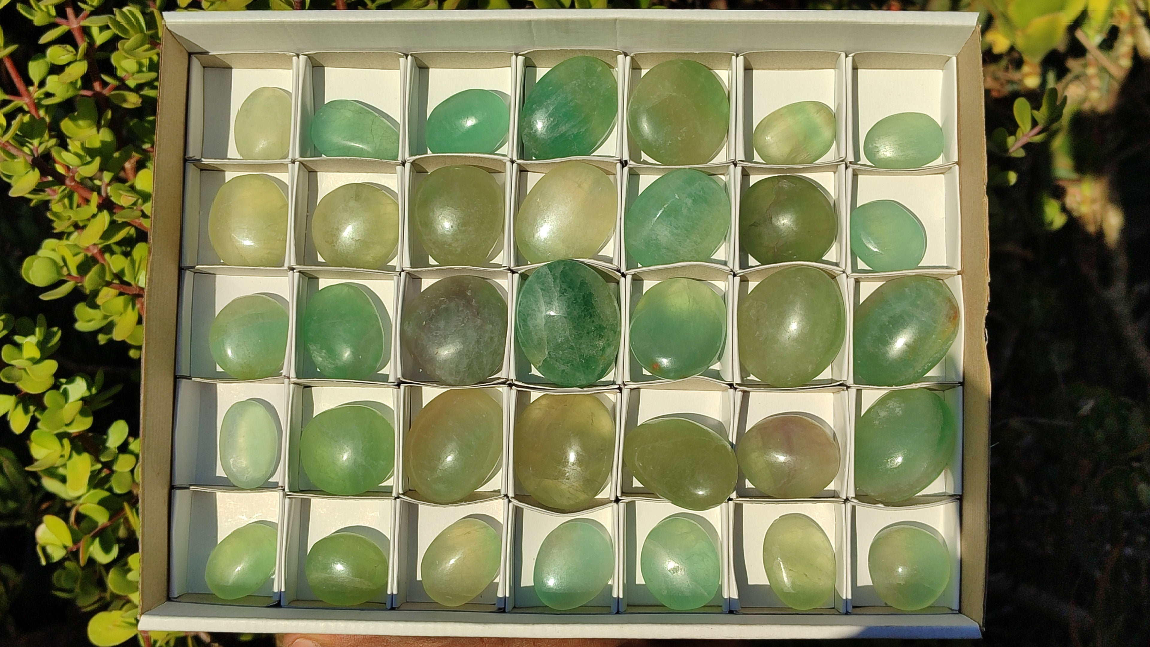 Polished Green Fluorite Galet-Palm Stones x 35 From Madagascar - Toprock Gemstones and Minerals 