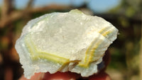 Natural Etched Blue Chalcedony Specimens  x 35 From Nsanje, Malawi - Toprock Gemstones and Minerals 