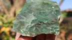 Natural Rough Jade Cobbed Specimens x 24 From Swaziland - Toprock Gemstones and Minerals 