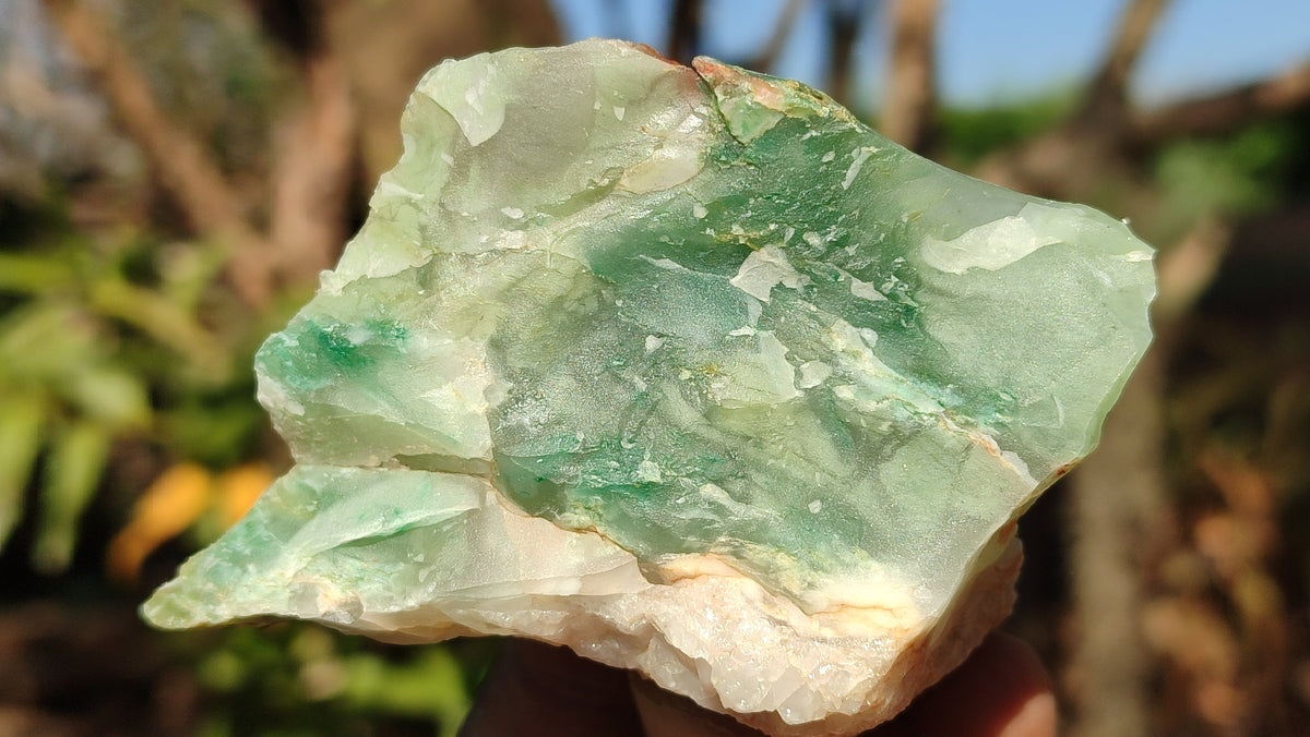 Natural Rough Jade Cobbed Specimens x 24 From Swaziland - Toprock Gemstones and Minerals 