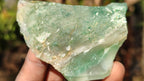 Natural Rough Jade Cobbed Specimens x 24 From Swaziland - Toprock Gemstones and Minerals 