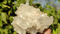 Natural Small Clear Quartz Clusters  x 12 From Madagascar - Toprock Gemstones and Minerals 