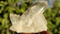 Natural Small Clear Quartz Clusters  x 12 From Madagascar - Toprock Gemstones and Minerals 