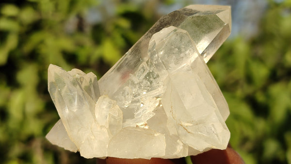 Natural Small Clear Quartz Clusters  x 12 From Madagascar - Toprock Gemstones and Minerals 