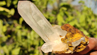 Natural Small Clear Quartz Clusters  x 12 From Madagascar - Toprock Gemstones and Minerals 