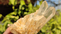 Natural Small Clear Quartz Clusters  x 12 From Madagascar - Toprock Gemstones and Minerals 