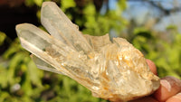 Natural Small Clear Quartz Clusters  x 12 From Madagascar - Toprock Gemstones and Minerals 