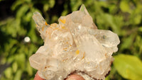 Natural Small Clear Quartz Clusters  x 12 From Madagascar - Toprock Gemstones and Minerals 
