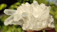 Natural Small Clear Quartz Clusters  x 12 From Madagascar - Toprock Gemstones and Minerals 