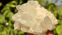 Natural Small Clear Quartz Clusters  x 12 From Madagascar - Toprock Gemstones and Minerals 