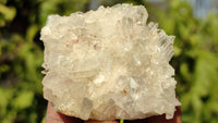 Natural Small Clear Quartz Clusters  x 12 From Madagascar - Toprock Gemstones and Minerals 
