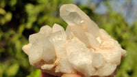 Natural Small Clear Quartz Clusters  x 12 From Madagascar - Toprock Gemstones and Minerals 