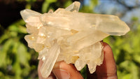 Natural Small Clear Quartz Clusters  x 12 From Madagascar - Toprock Gemstones and Minerals 