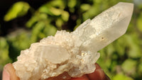 Natural Small Clear Quartz Clusters  x 12 From Madagascar - Toprock Gemstones and Minerals 