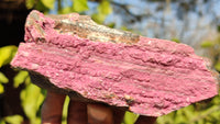 Natural Pink Salrose Cobaltion Dolomite Specimens  x 3 From Kakanda, Congo