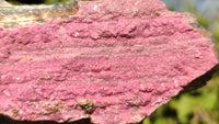 Natural Pink Salrose Cobaltion Dolomite Specimens  x 3 From Kakanda, Congo