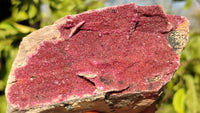 Natural Pink Salrose Cobaltion Dolomite Specimens  x 3 From Kakanda, Congo