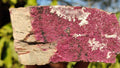 Natural Pink Salrose Cobaltion Dolomite Specimens  x 3 From Kakanda, Congo - Toprock Gemstones and Minerals 