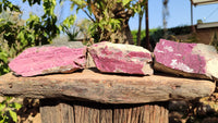 Natural Pink Salrose Cobaltion Dolomite Specimens  x 3 From Kakanda, Congo