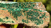 Natural Drusy Chrysocolla & Malachite Dolomite Specimens x 3 From Likasi, Congo - Toprock Gemstones and Minerals 