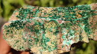Natural Drusy Chrysocolla & Malachite Dolomite Specimens x 3 From Likasi, Congo - Toprock Gemstones and Minerals 