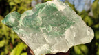 Natural Rough Jade Cobbed Specimens x 12 From Swaziland - Toprock Gemstones and Minerals 
