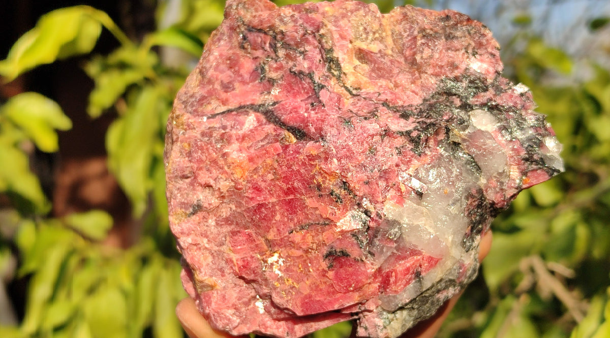 Natural Rough Red Rhodonite Specimens x 3 From Zimbabwe - Toprock Gemstones and Minerals 
