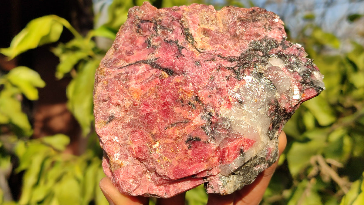 Natural Rough Red Rhodonite Specimens x 3 From Zimbabwe - Toprock Gemstones and Minerals 