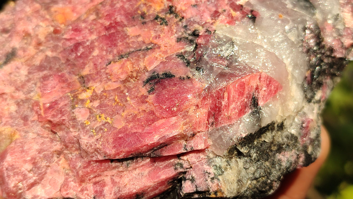 Natural Rough Red Rhodonite Specimens x 3 From Zimbabwe - Toprock Gemstones and Minerals 