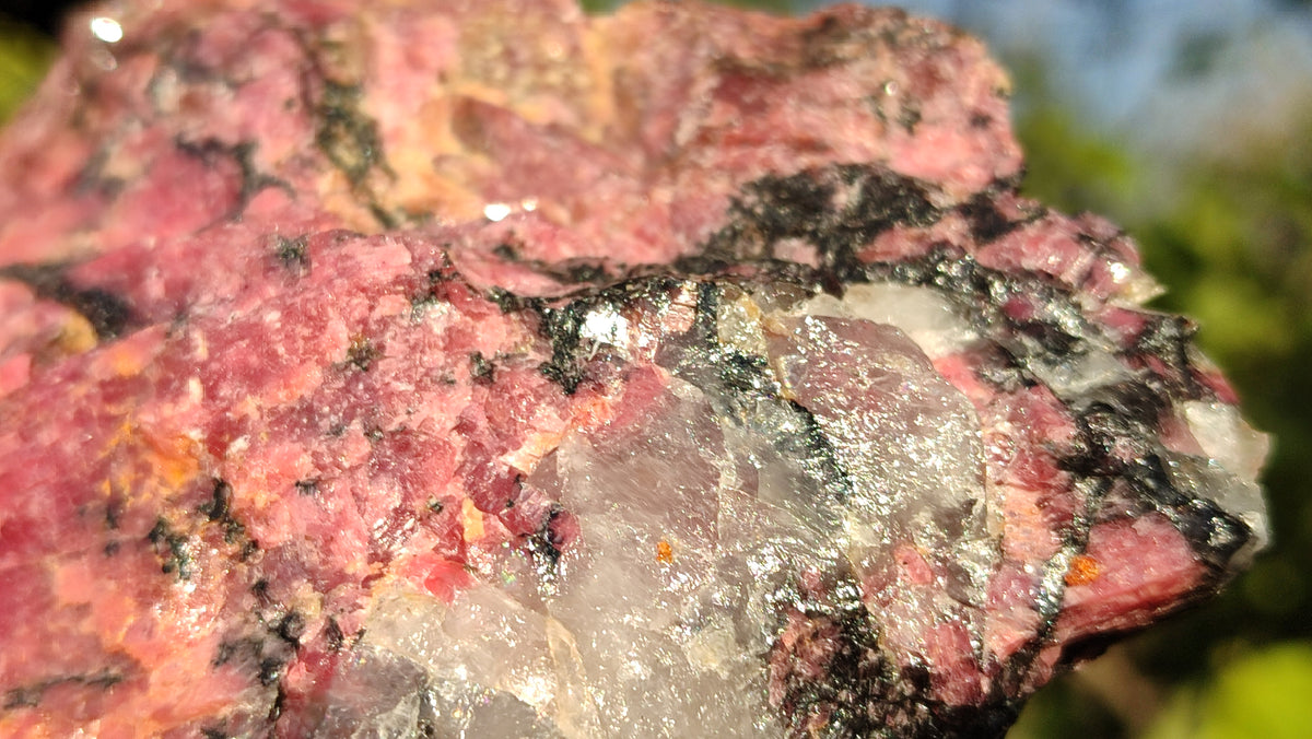 Natural Rough Red Rhodonite Specimens x 3 From Zimbabwe - Toprock Gemstones and Minerals 