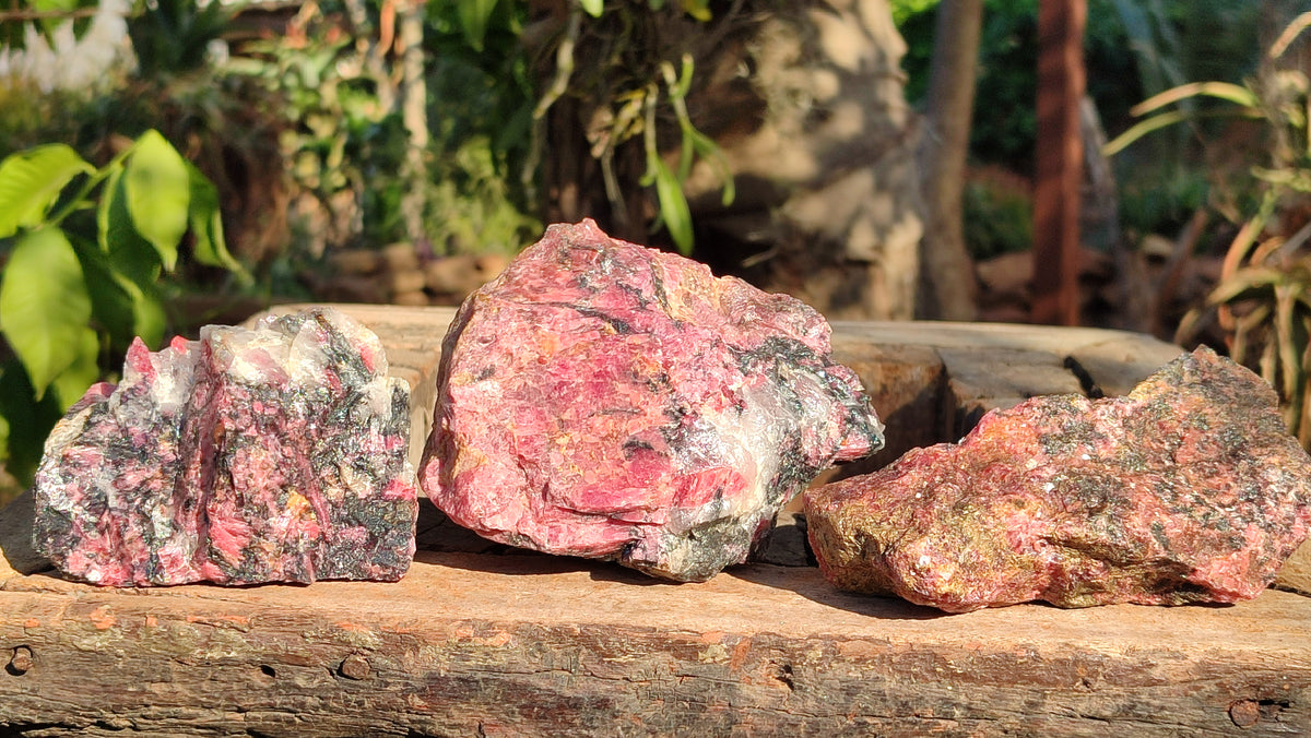 Natural Rough Red Rhodonite Specimens x 3 From Zimbabwe - Toprock Gemstones and Minerals 
