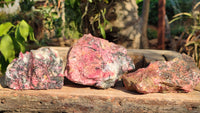 Natural Rough Red Rhodonite Specimens x 3 From Zimbabwe