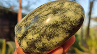 Polished Green Leopard Stone Free Forms  x 6 From Zimbabwe - Toprock Gemstones and Minerals 