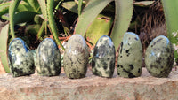 Polished Green Leopard Stone Free Forms  x 6 From Zimbabwe - Toprock Gemstones and Minerals 