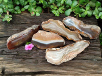 Polished On One Side River Agate Nodules x 5 From Limpopo River, South Africa