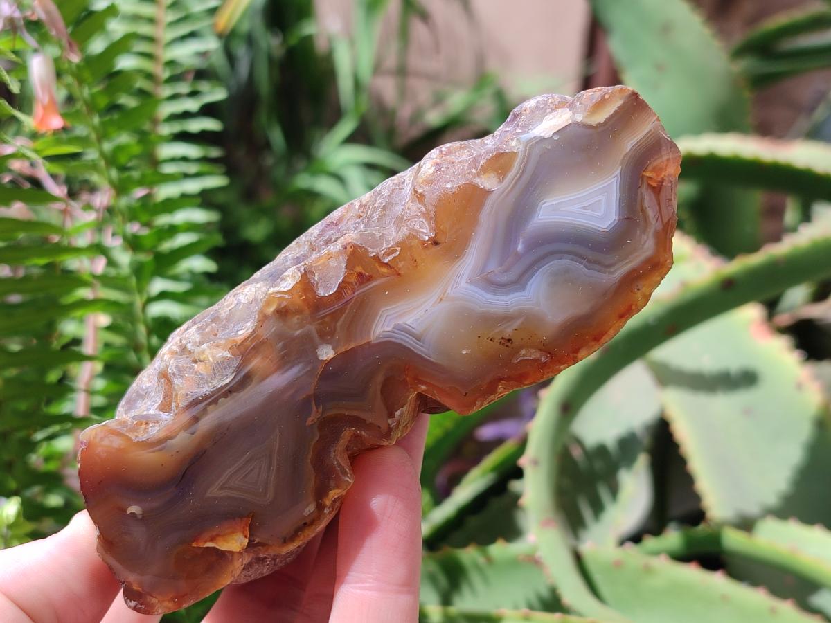 Polished On One Side River Agate Nodules x 5 From Limpopo River, South Africa