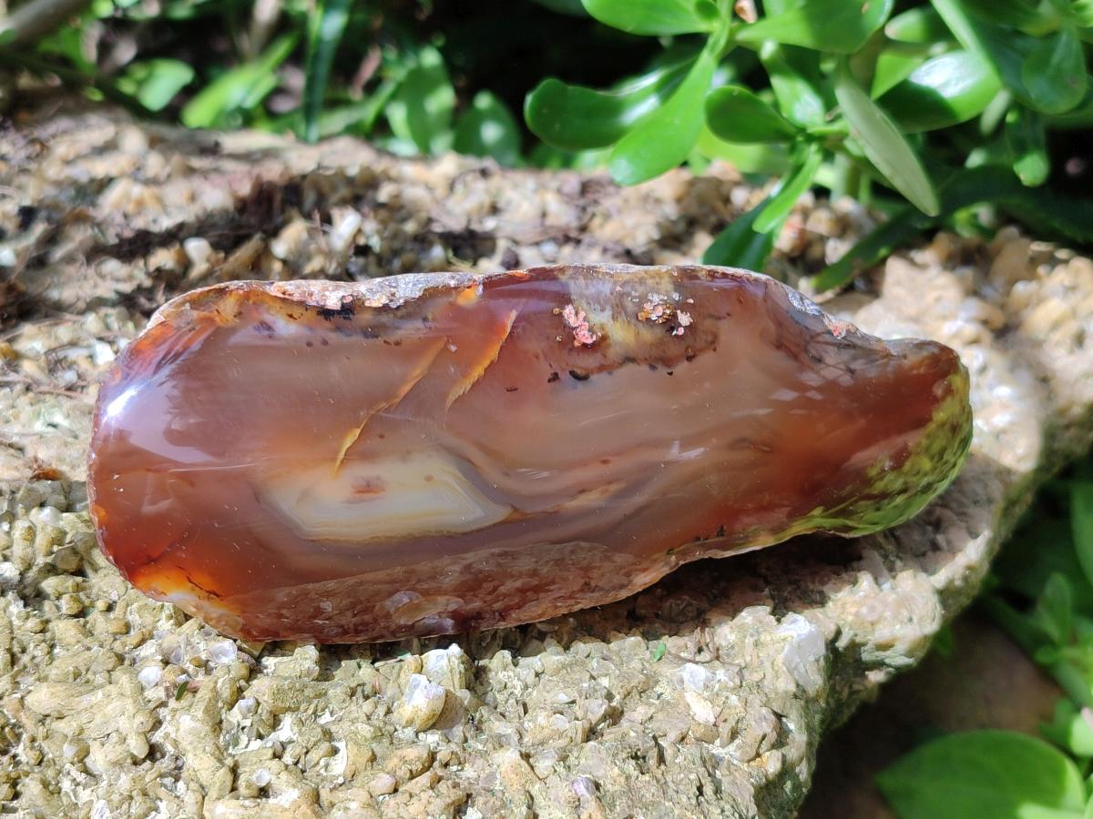 Polished On One Side River Agate Nodules x 5 From Limpopo River, South Africa