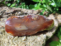 Polished On One Side River Agate Nodules x 5 From Limpopo River, South Africa