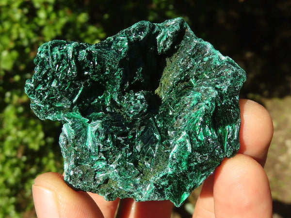 Natural Chatoyant Silky Malachite Specimens  x 20 From Kasompe, Congo - Toprock Gemstones and Minerals 