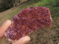 Natural Mini to Small Dark "Amethystos" Amethyst Clusters x 38 From Kwaggafontein, South Africa - TopRock