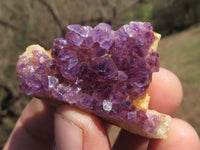 Natural Mini to Small Dark "Amethystos" Amethyst Clusters x 38 From Kwaggafontein, South Africa - TopRock