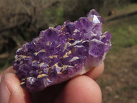 Natural Mini to Small Dark "Amethystos" Amethyst Clusters x 38 From Kwaggafontein, South Africa - TopRock