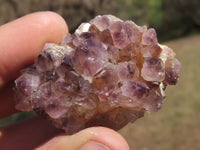 Natural Mini to Small Dark "Amethystos" Amethyst Clusters x 38 From Kwaggafontein, South Africa - TopRock