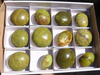 Polished Green Opal Galet / Palm Stones x 12 From Antsirabe, Madagascar - Toprock Gemstones and Minerals 
